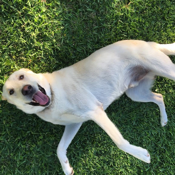 Meet your Posher, Marco - Picture 1 of 1